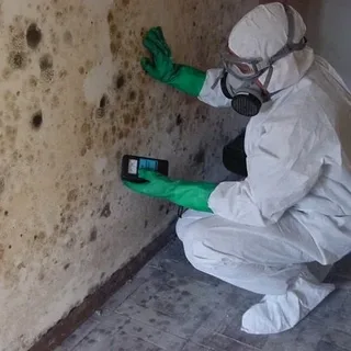 Sydney mould cleaning