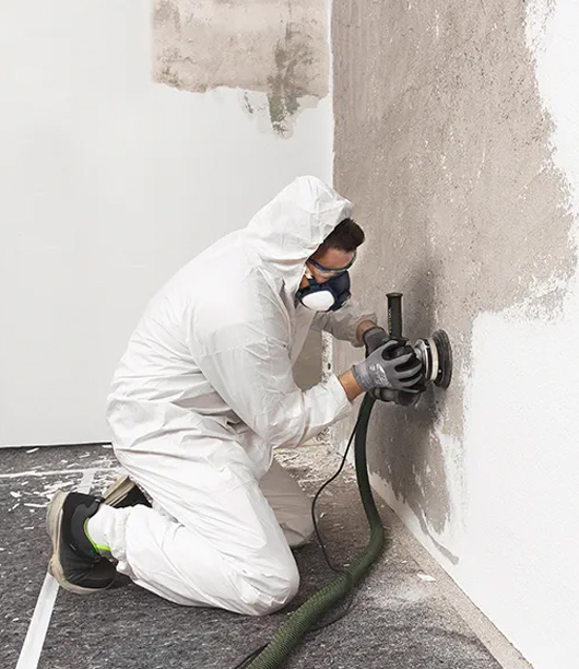 Sydney mold removal