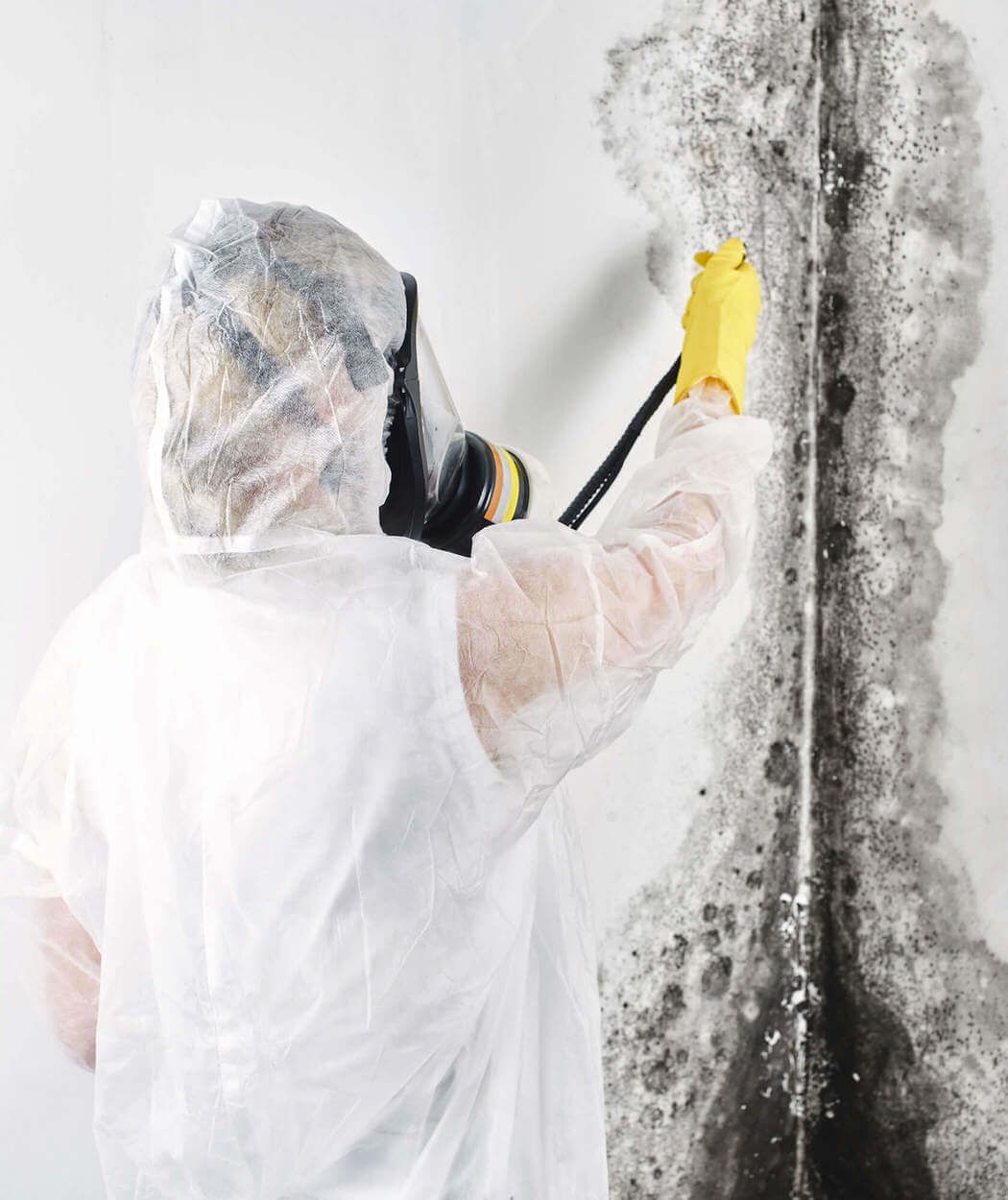 Black Mould Removal Sydney