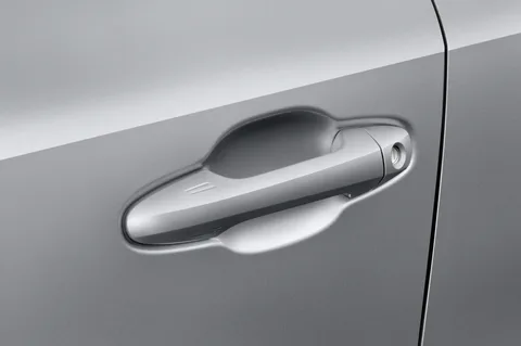 RB Accent Inner Door Handle