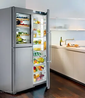 skope 2 door fridge